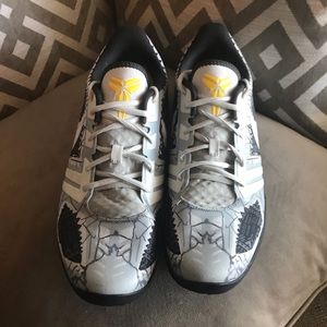 Nike Zoom Kobe Bryant Mentality Cracked Pavement